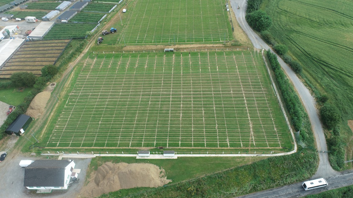 Sports Ground & Pitch Renovations